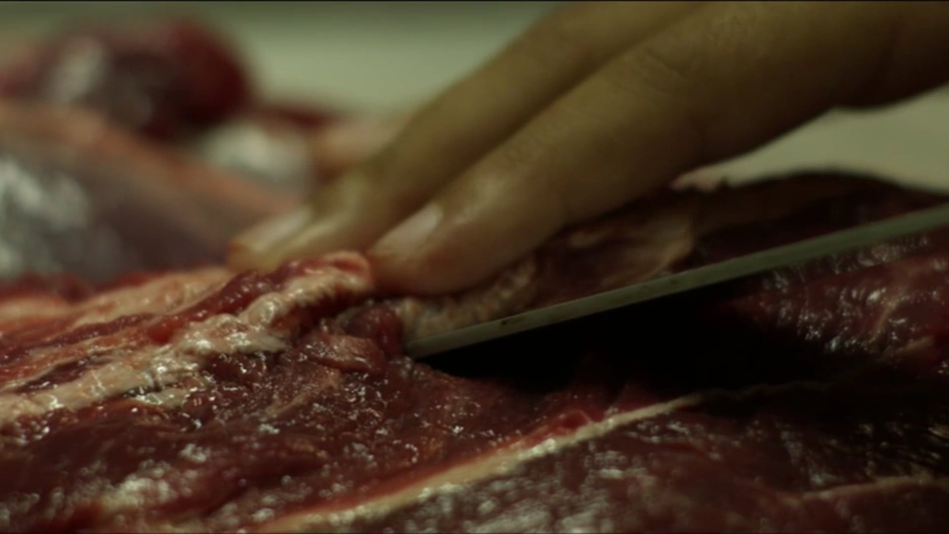 CARNE - teaser 1