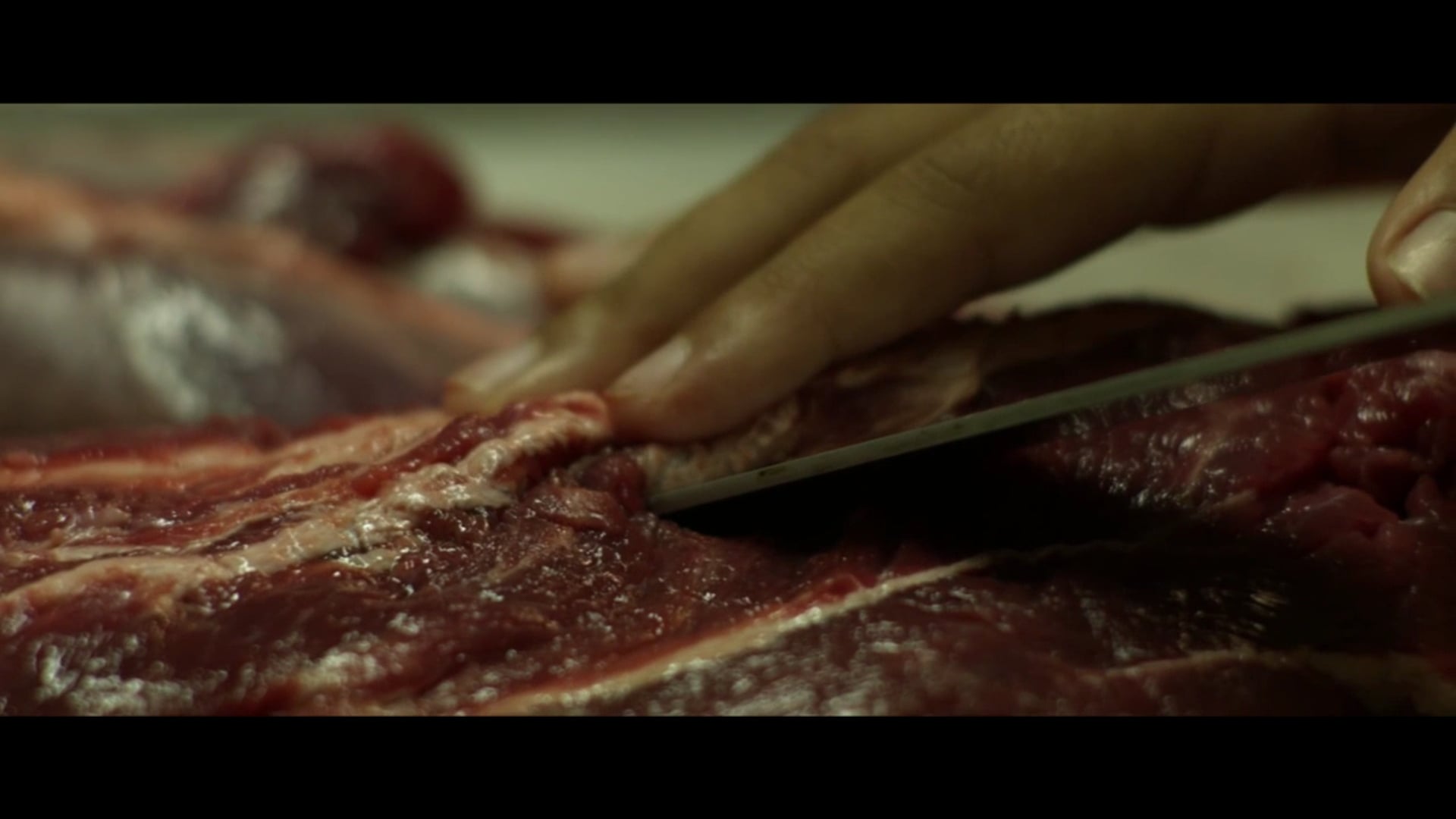 CARNE - teaser 1
