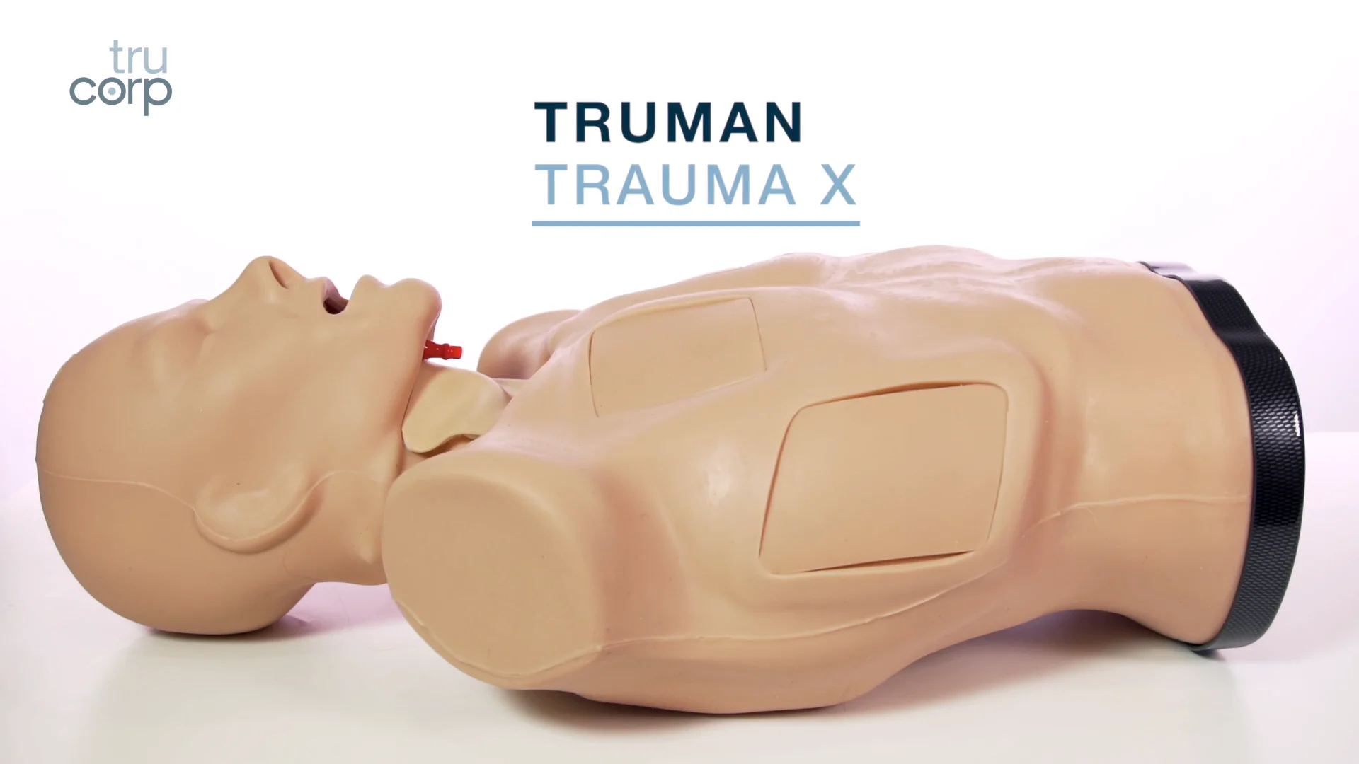 健康・医学 the thorax s183660996833496138_p2_i3_w384