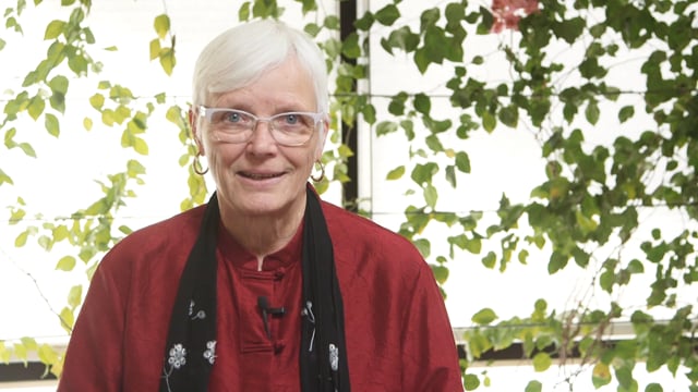 Profound Treasury of the Ocean of Dharma Trailer