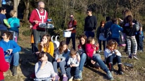 Les colònies de la Batuscala a Torelló