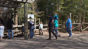 Spring Break Crowds at the Zoo