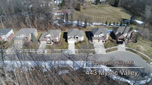 443 Mystic Valley Rochester Hills, MI 48307