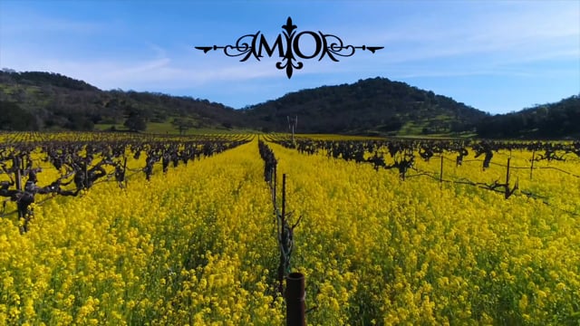 Modus Operandi Cellars Vicarious Red Blend // 2 Bottles video thumbnail