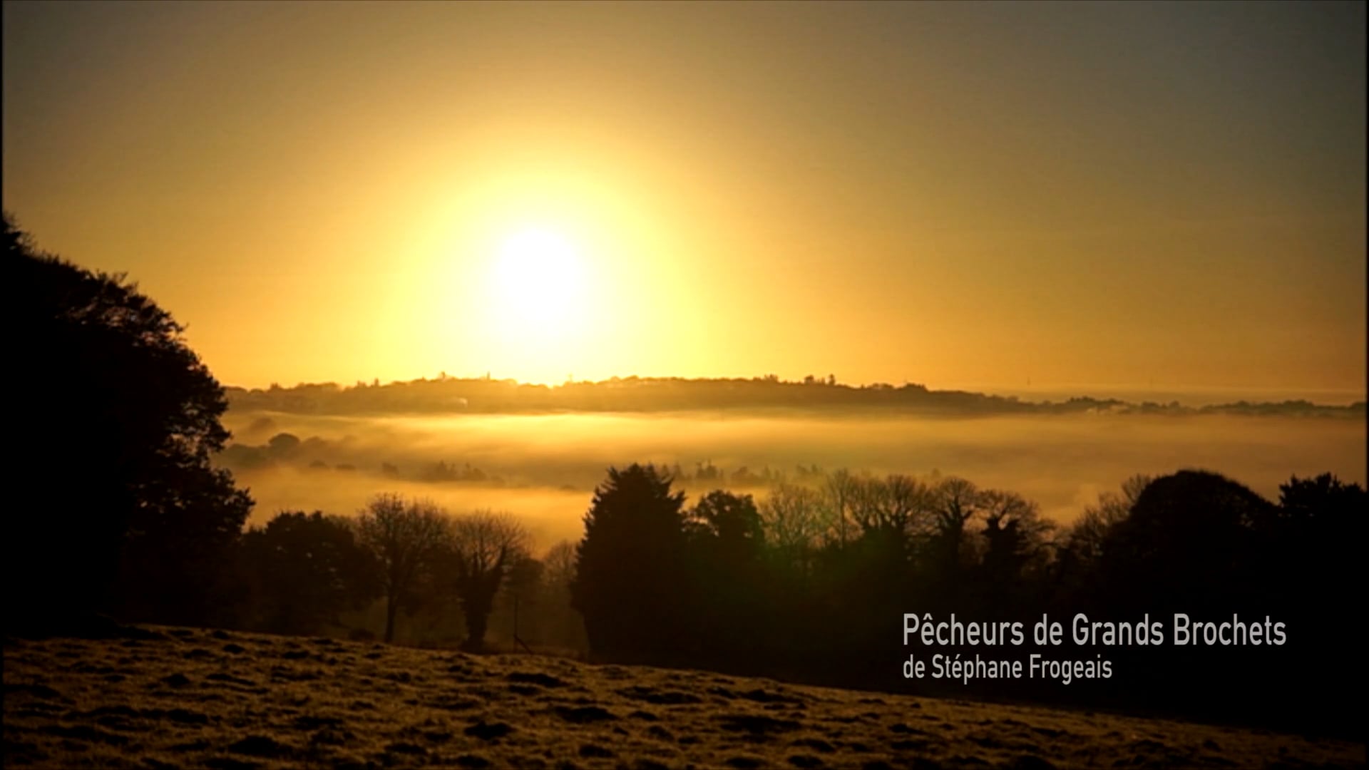 Pêcheurs de Grands Brochets