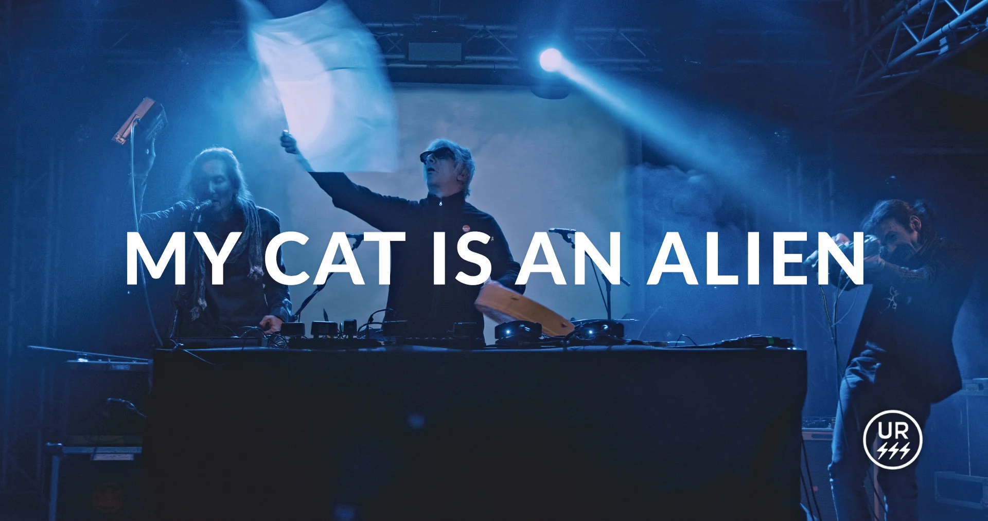 MY CAT IS AN ALIEN news
