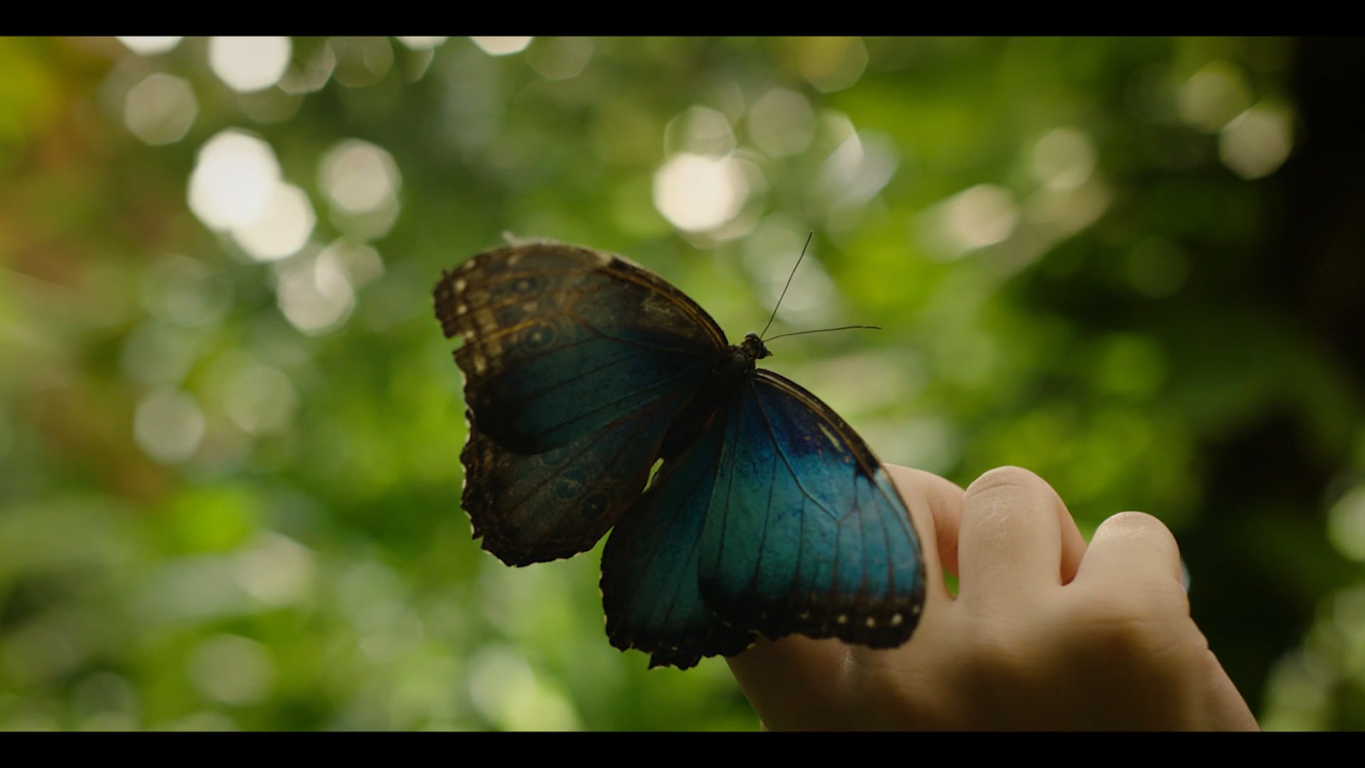 PARCO NATURA VIVA _Spot
