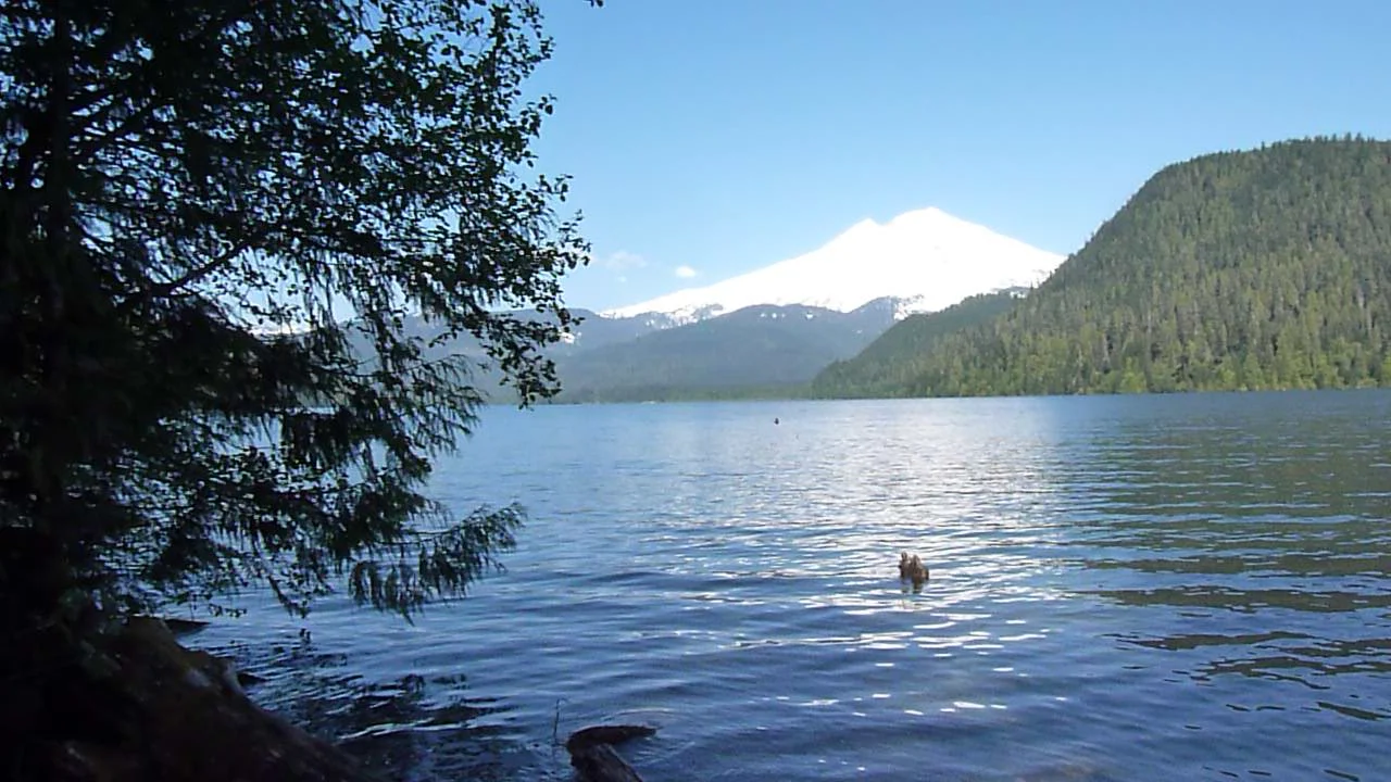 Noisy creek 2025 campground baker lake