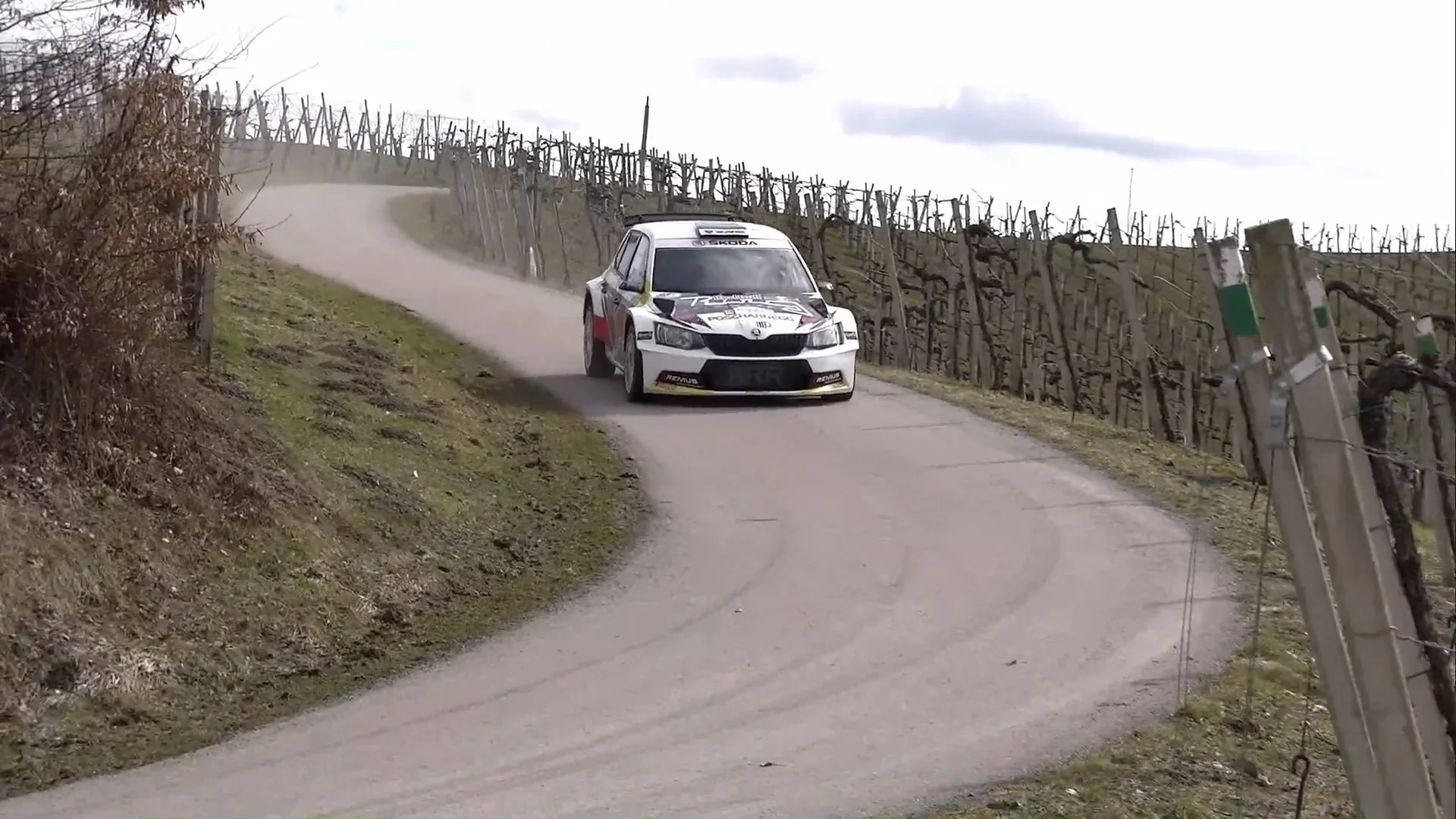 ORM Rebenland Rallye 2018 - Raimund Baumschlager / Pirmin Winklhofer - BRR Skoda Fabia R5