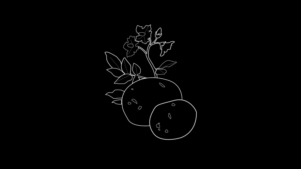 Aardappelen animation