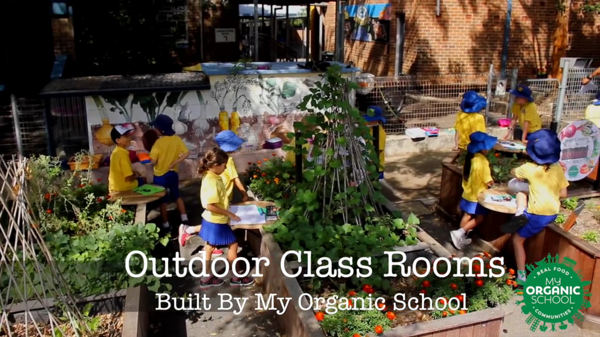 My Organic School Outdoor Classroom / Organic Vege Box Co-op Initiative.