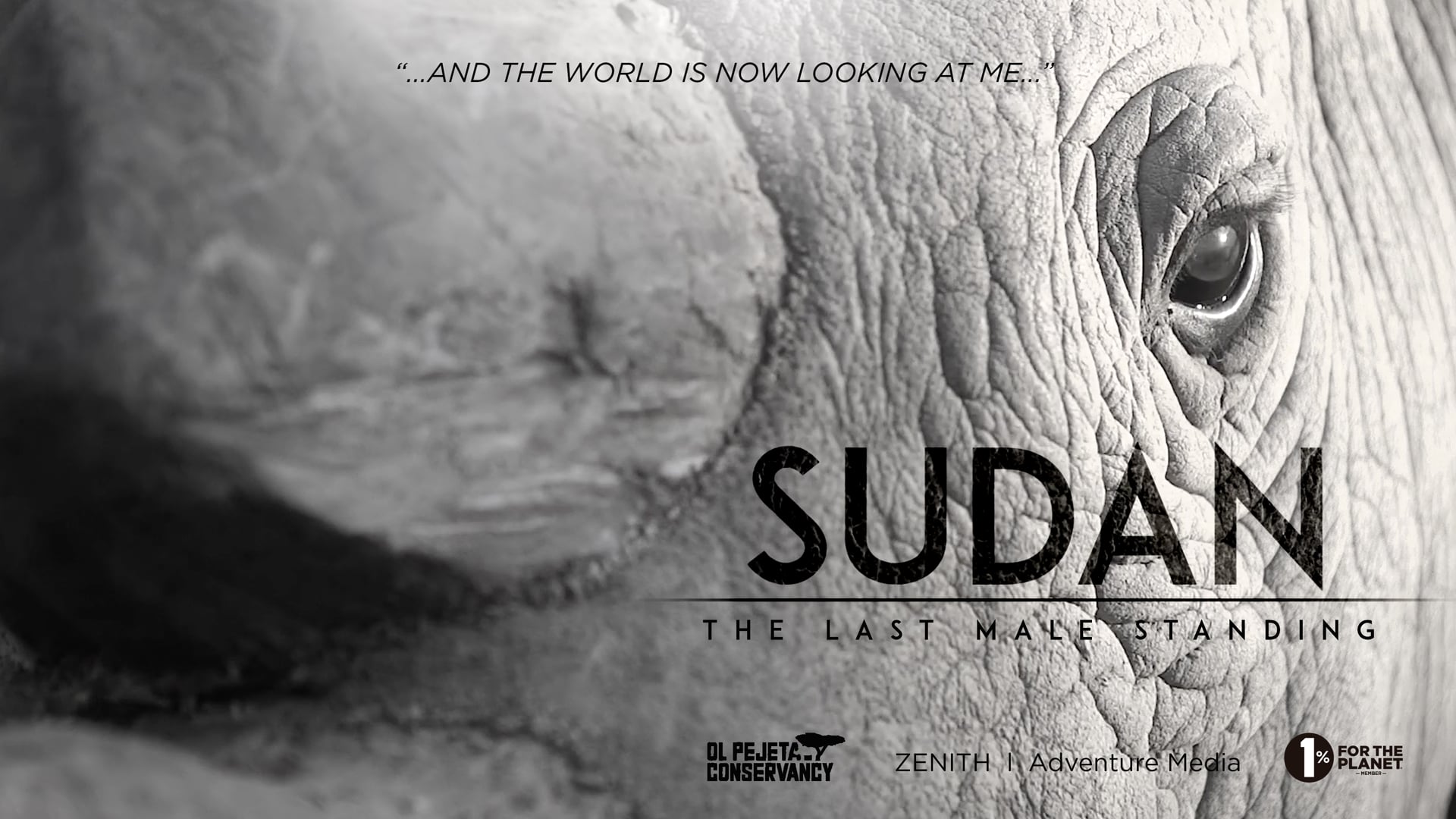 Sudan - The Last Male Standing