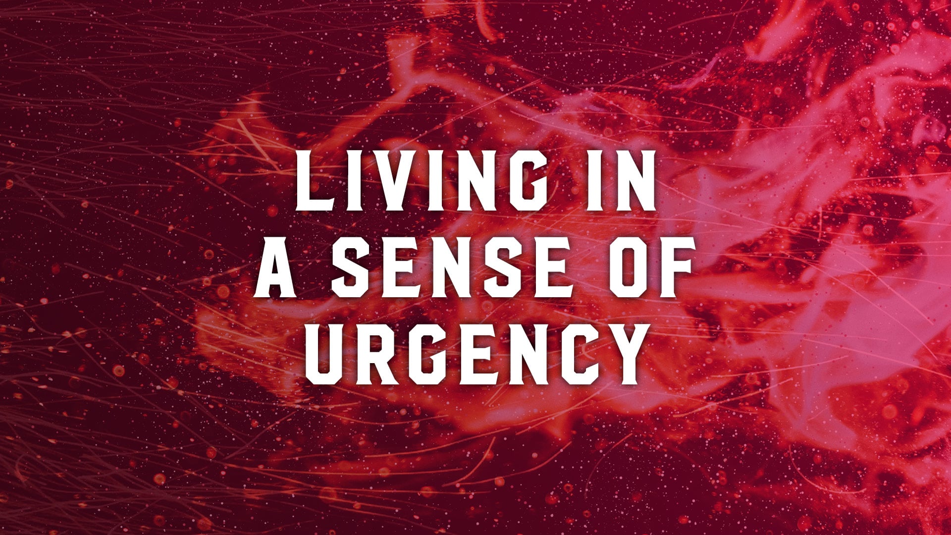 living-in-a-sense-of-urgency-on-vimeo