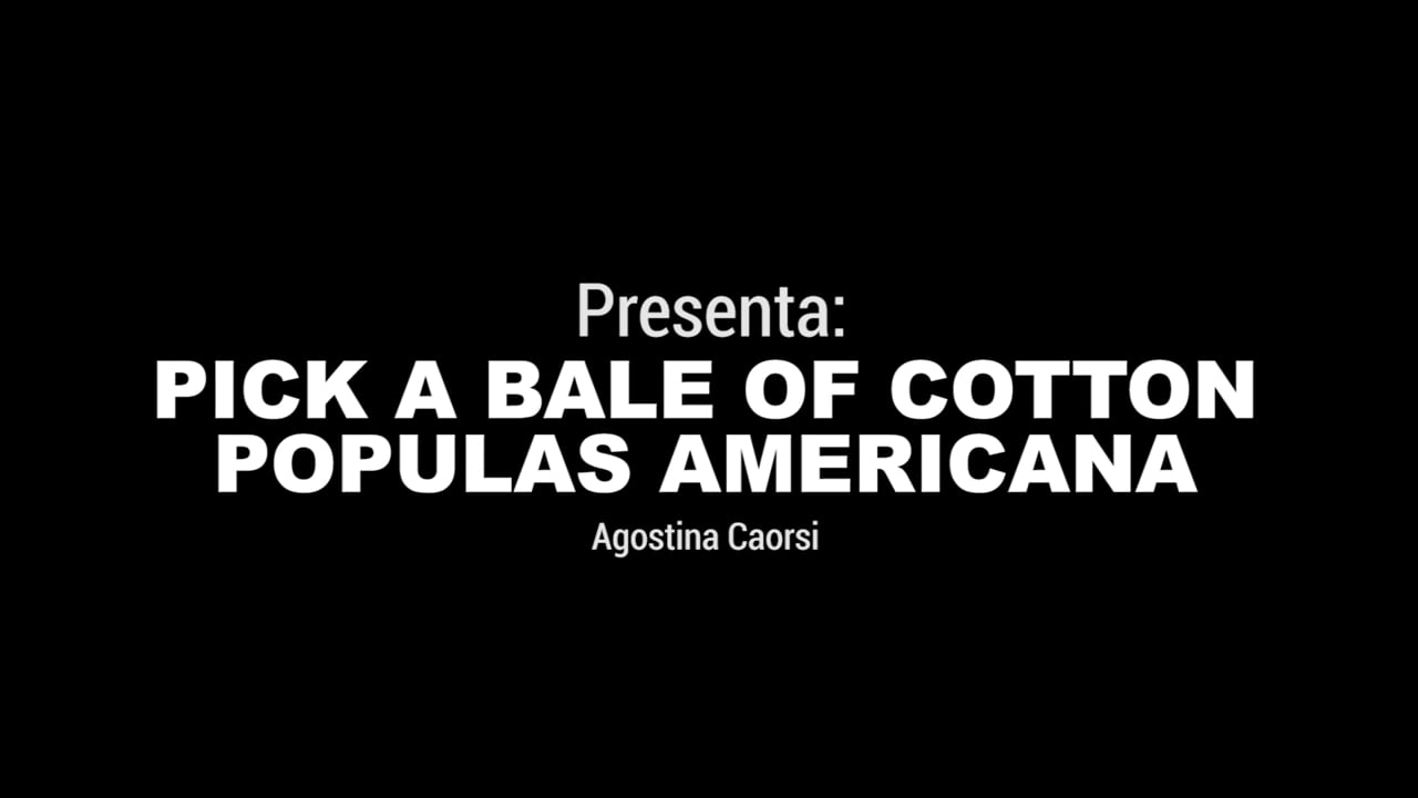 Pick a Bale of Cotton - Escuela de Música San José