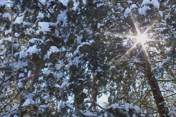 Exercise 3 on Vimeo