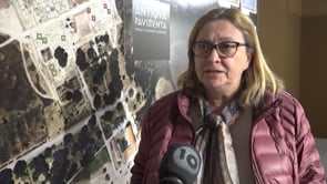 Tornen a Empúries una moneda que s'havia posat a la venda
