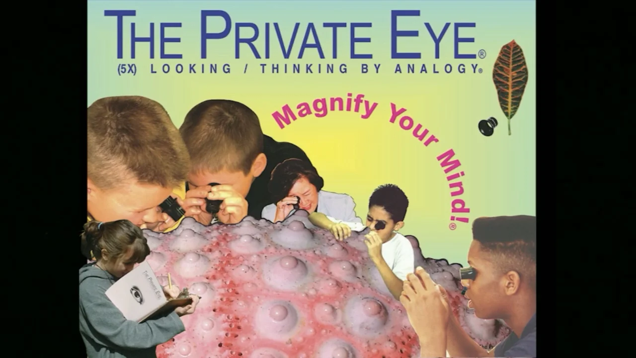 The Private Eye Loupe - The Private Eye Project