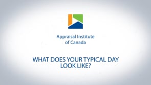 What does your typical day look like