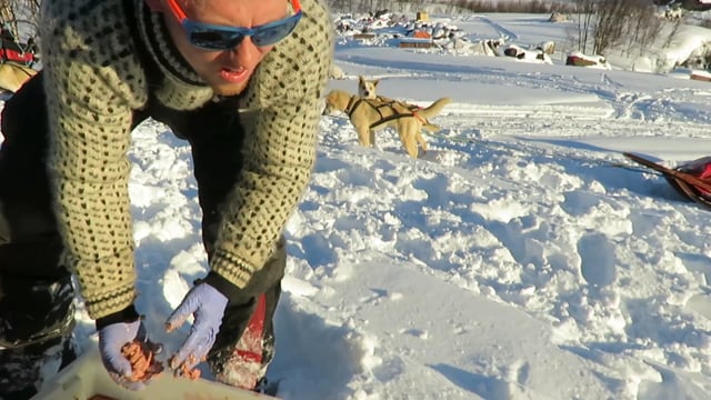 NORWAY DOG EXPEDITION