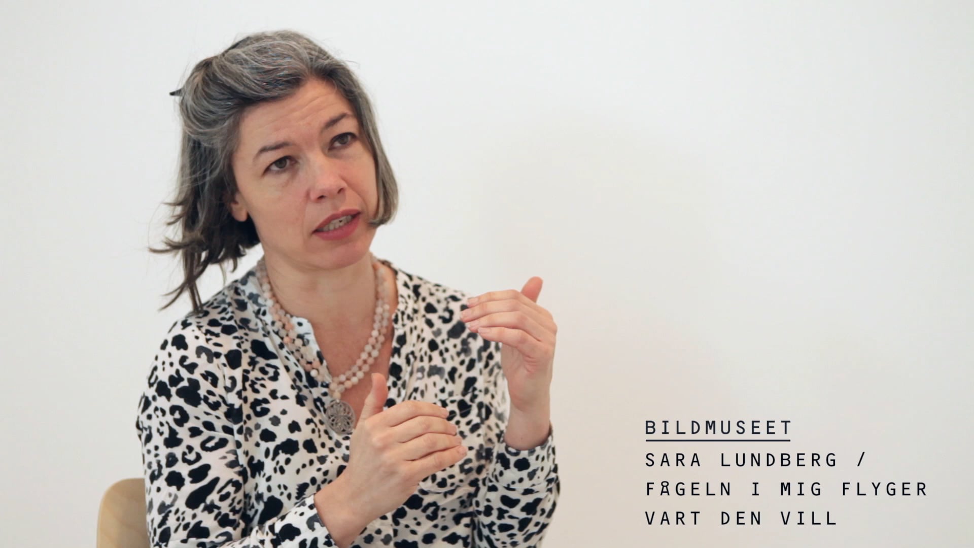 Film: Årets svenska bilderbok / Sara Lundberg