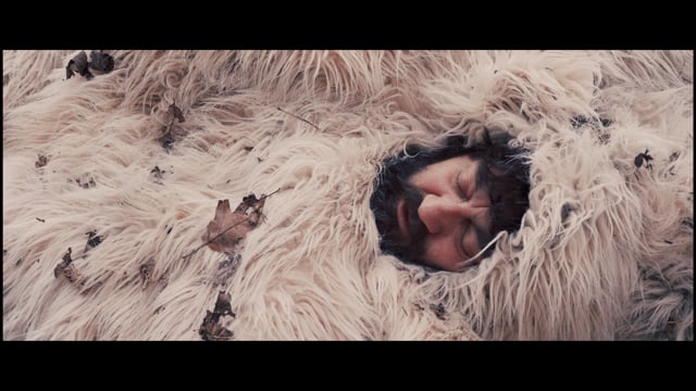 2018 » Die große Entbärung (KHM Diplom, Kurzfilm)