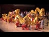 Yinghua Chinese New Year 2018