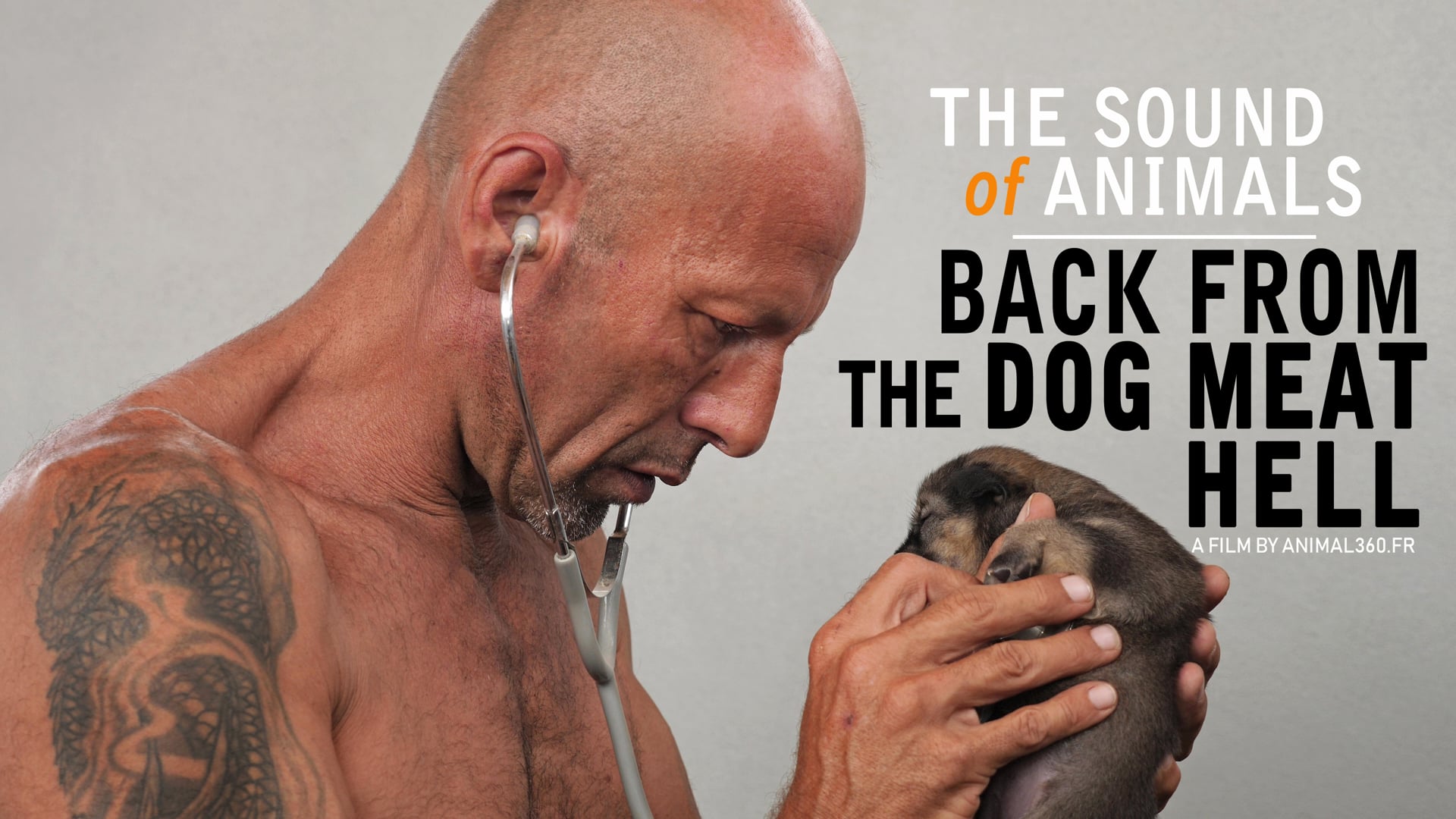 The sound of animals : back from the dog meat hell