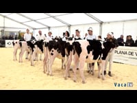 Terneras de 0 a 5 meses