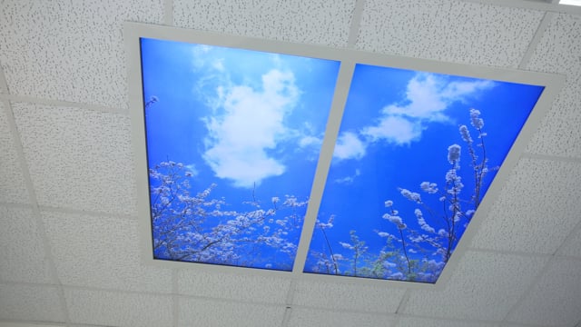 Double Skylight