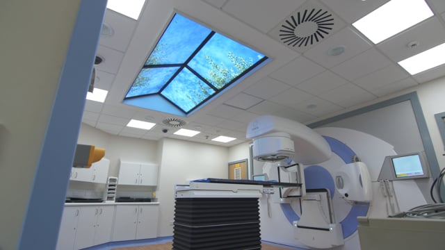 Related Embedded Video Item Thumbnail