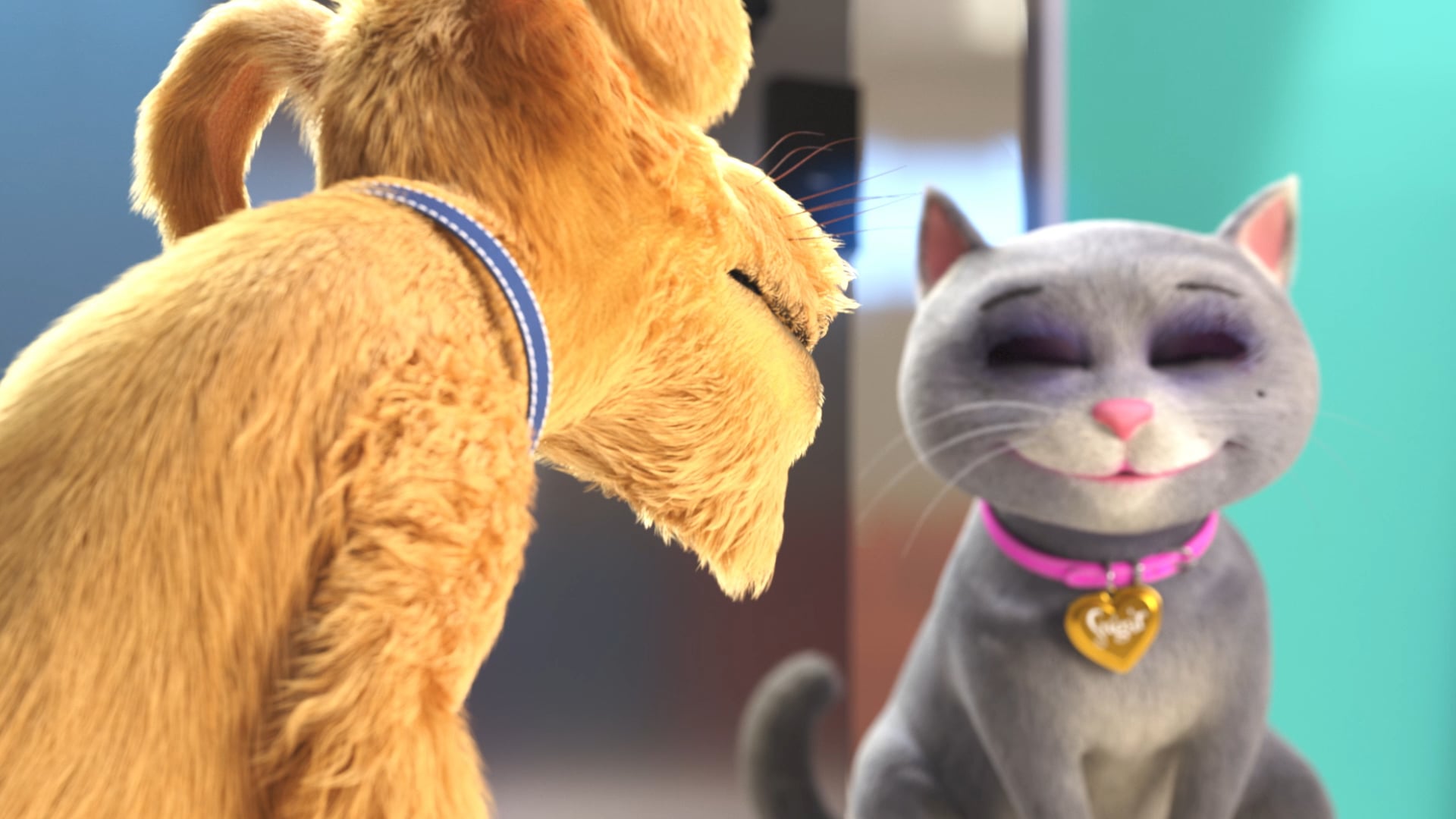 Sugar & Spike - Visit the vet