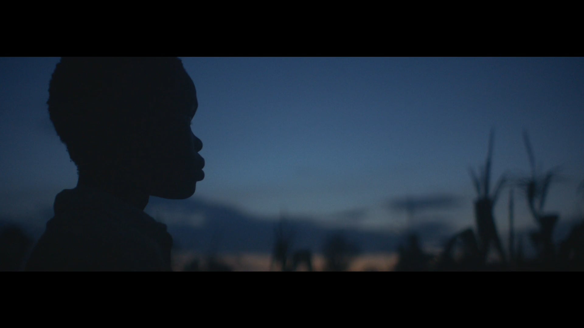 Stella Artois - Elizebeth's Dream