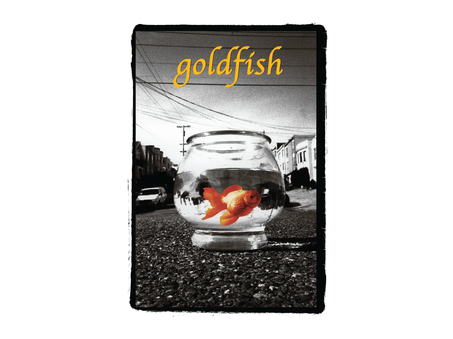 Goldfish | Girl Films + Chocolate Cinema Video Archive Goldfish | Girl Films + Chocolate Cinema Video Archive