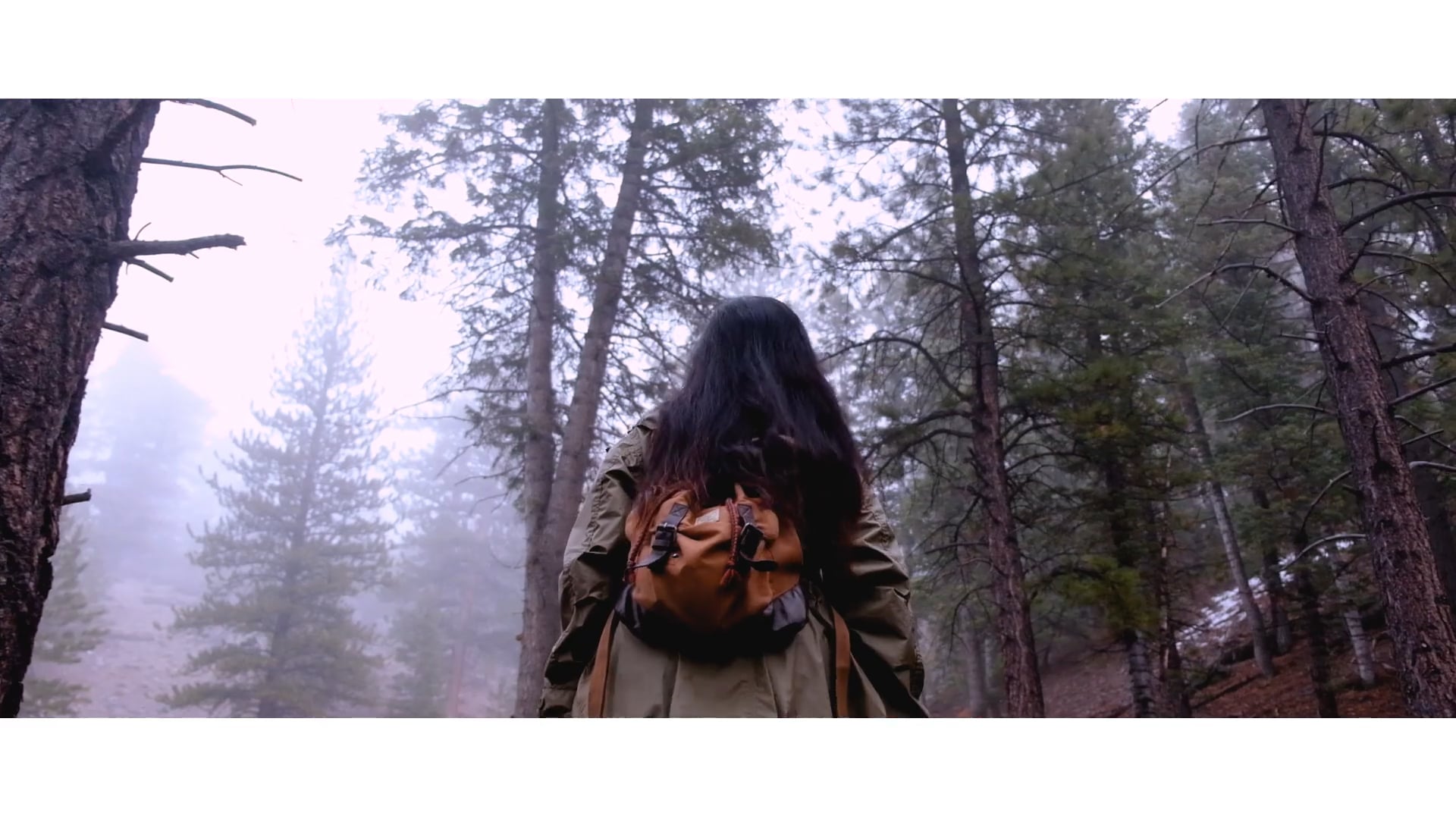 Into The Wilder
