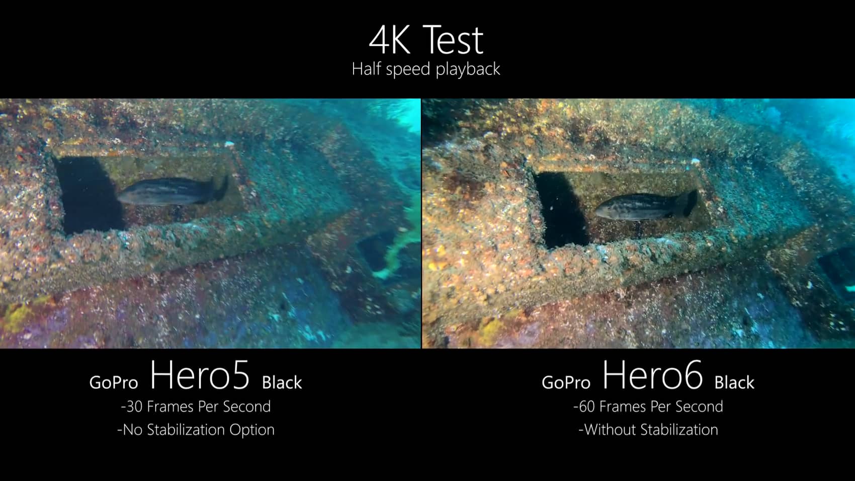 Gopro Hero 6 Review Underwater Photography Guide