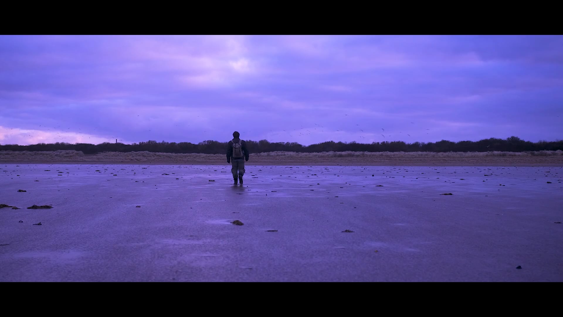 'Field Notes' by Maxim Peter Griffin (Unbound promo)