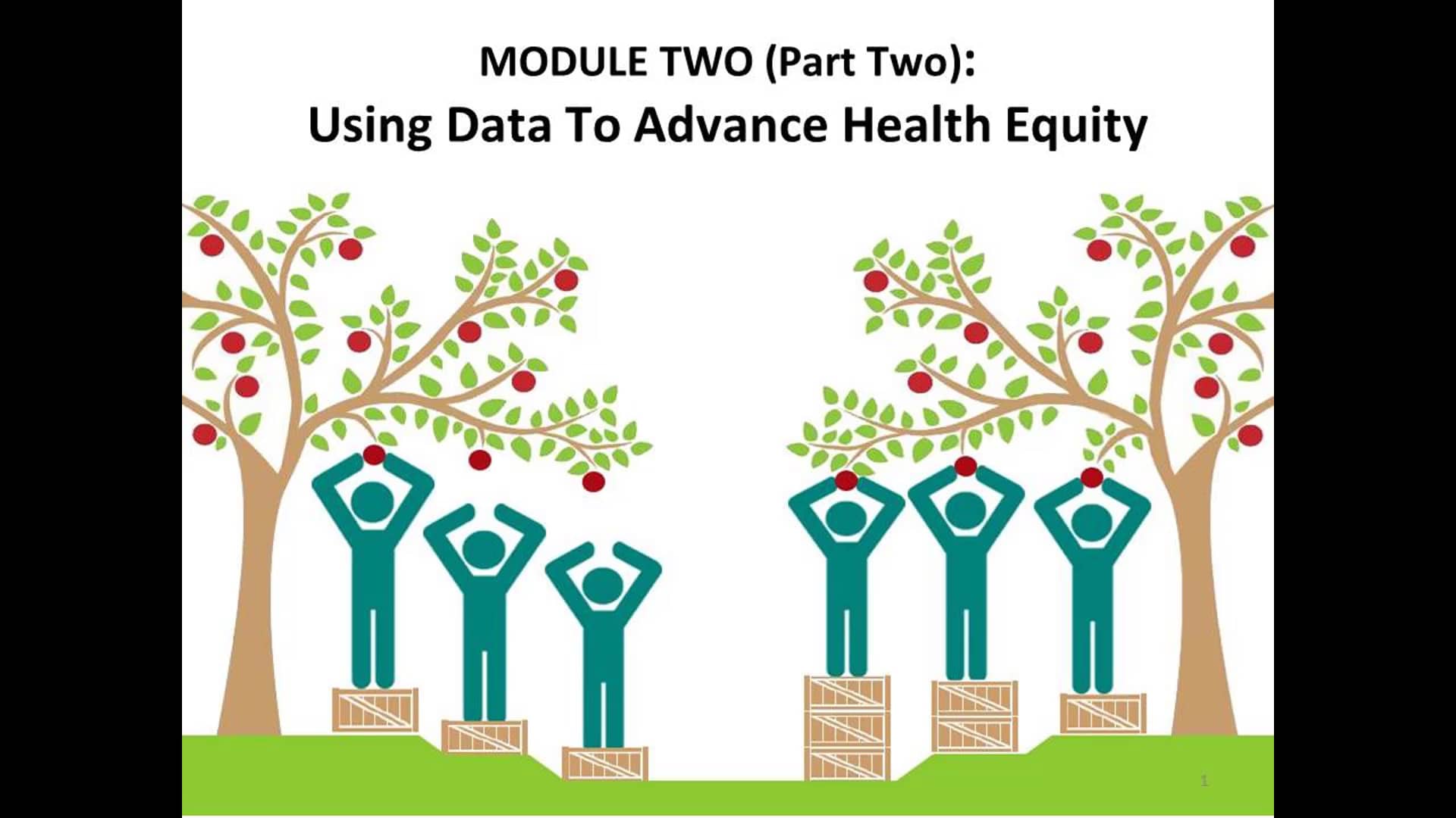 Module 2 Using Data to Advance Health Equity Part 2 on Vimeo