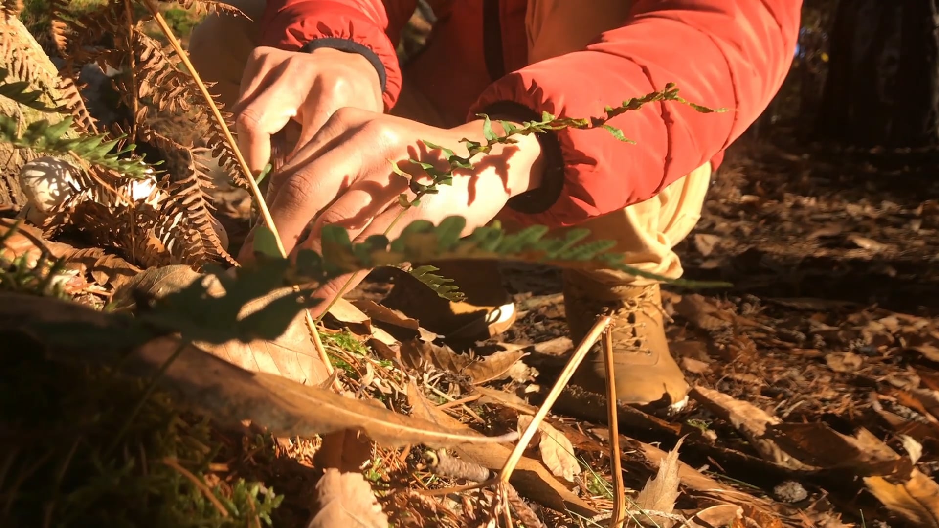 Comment nous élaborons notre table d'hôtes