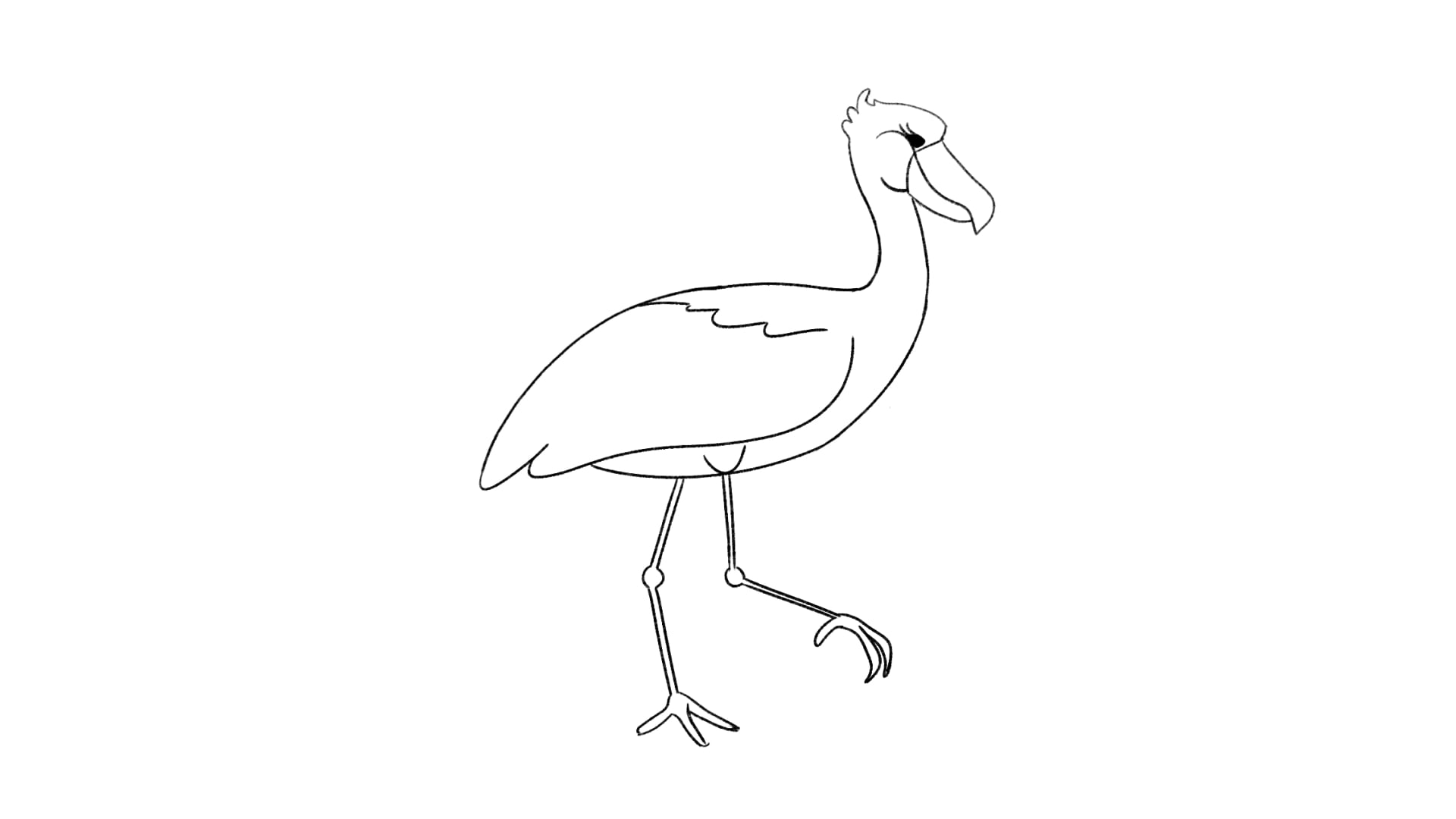 Shoebill Walk Cycle