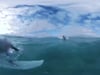 SAMSUNG_SURF