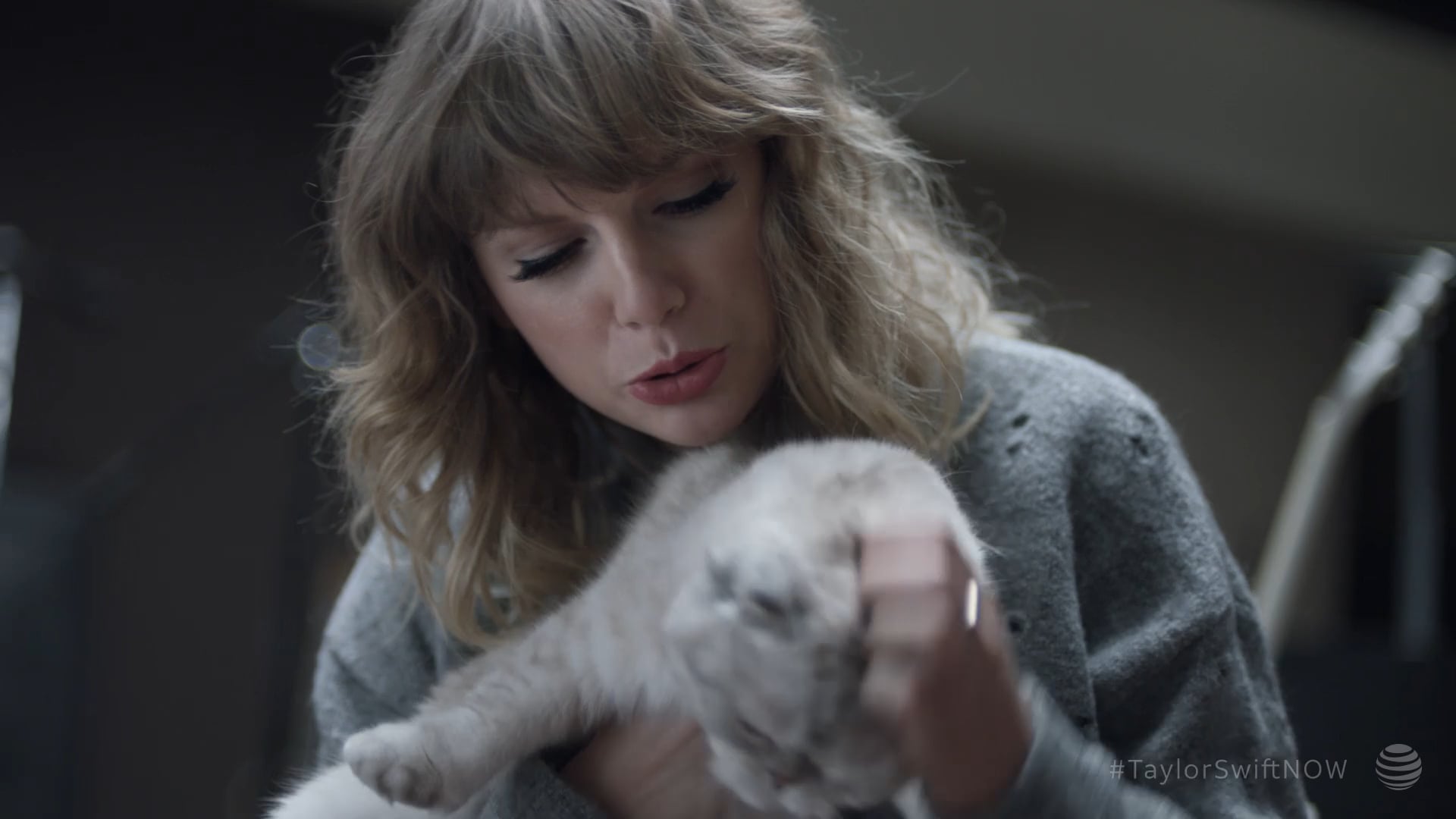 AT&T + Taylor Swift | Cat Talk
