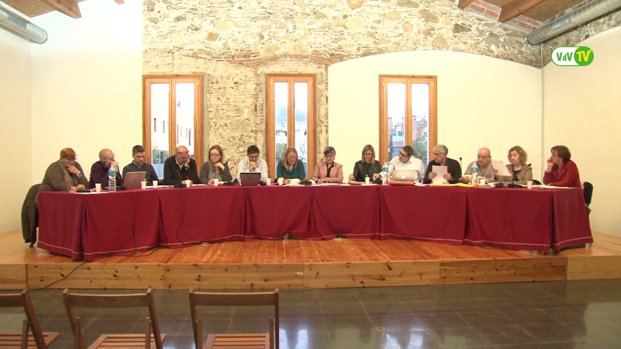 Ple municipal 28 de març de 2018 - Punt 03