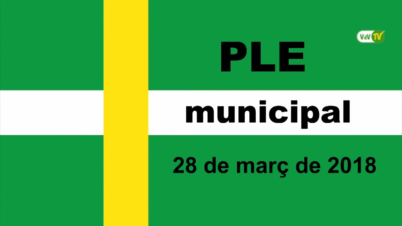 Ple municipal 28 de març de 2018 - Punt 01