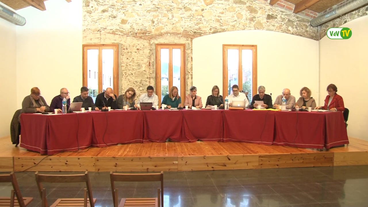 Ple municipal 28 de març de 2018 - Punt 02