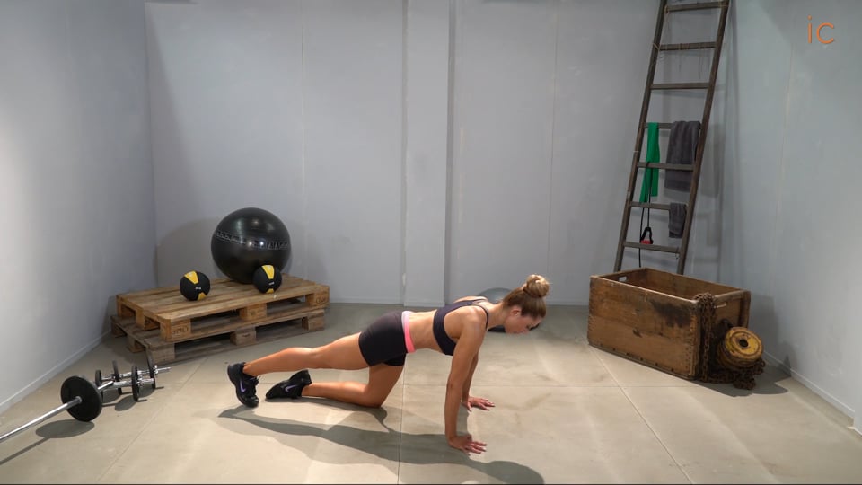 PLANCHA FRONTAL DINÁMICA