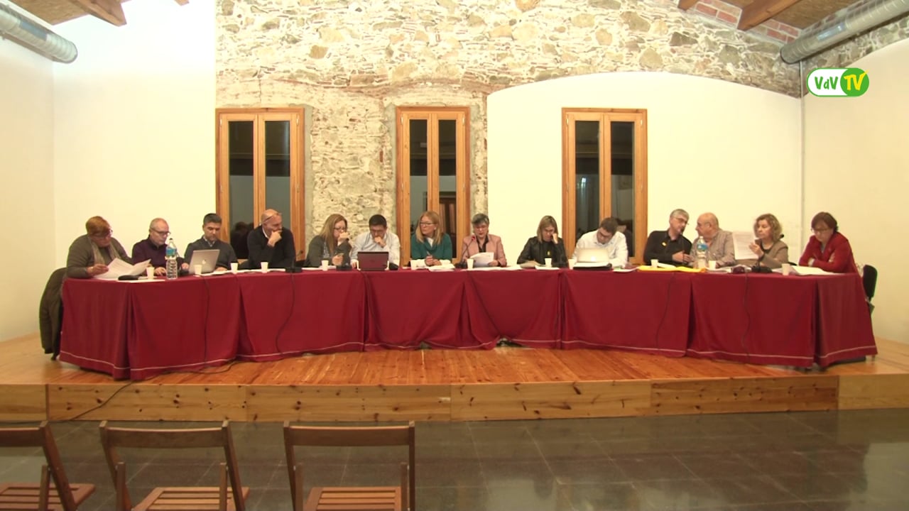 Ple municipal 28 de març de 2018 - Punt 04