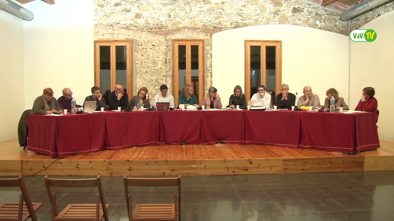 Ple municipal 28 de març de 2018 - Punt 05
