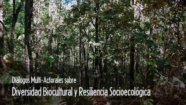 Diálogos Multi Actorales sobre Diversidad Biocultural y Resiliencia Socioecológica PECS 2017