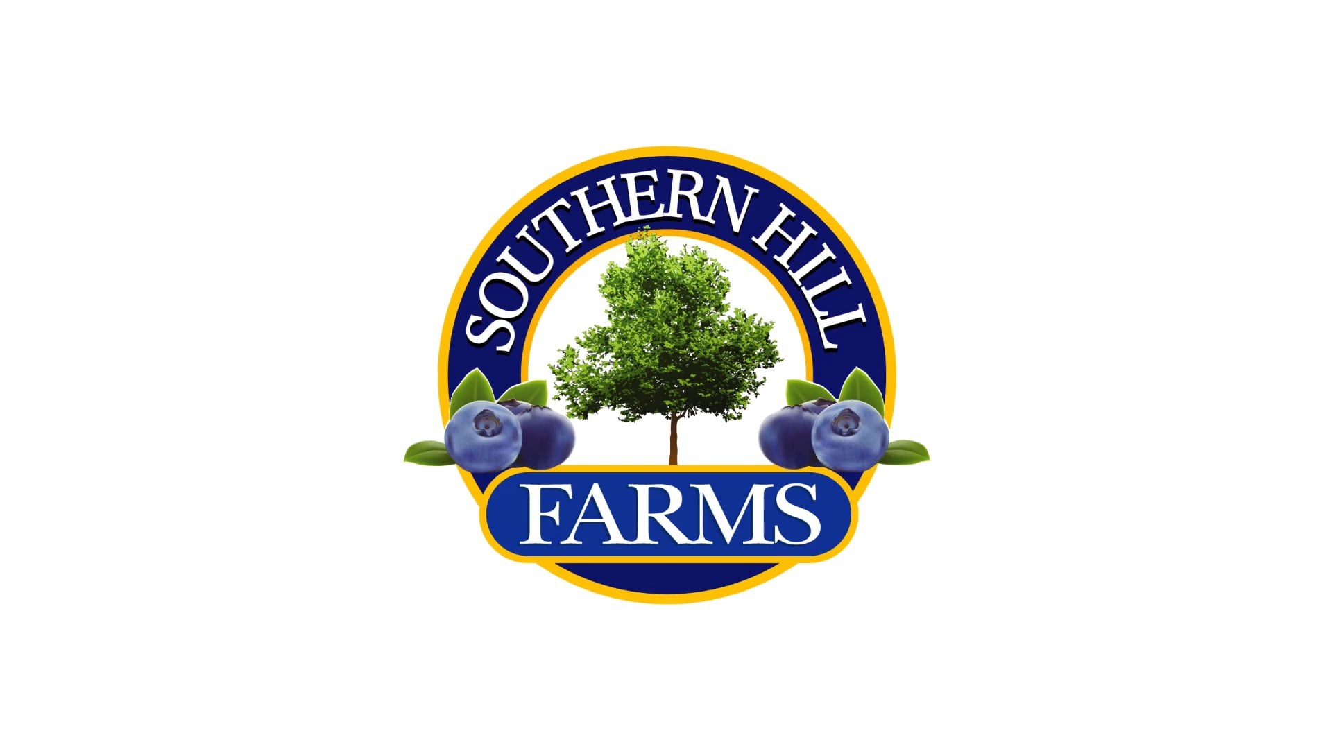 Southern Hill Farms | Main Web Video