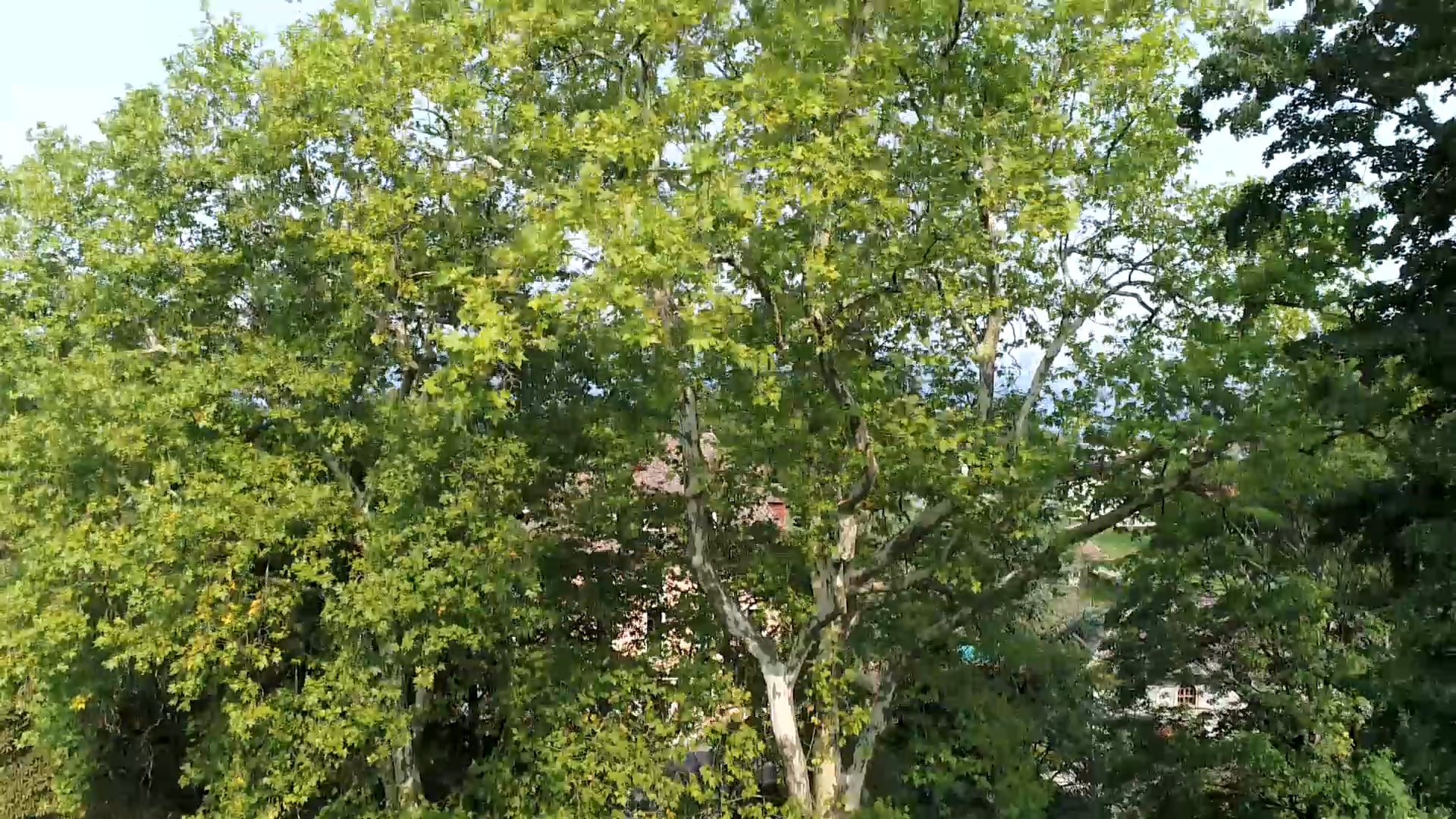 Chateau de Marclaz - Thonon les Bains